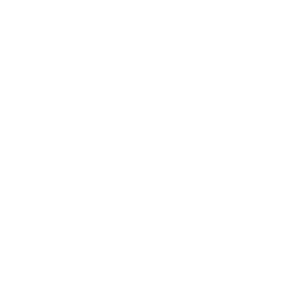 Fiat_white