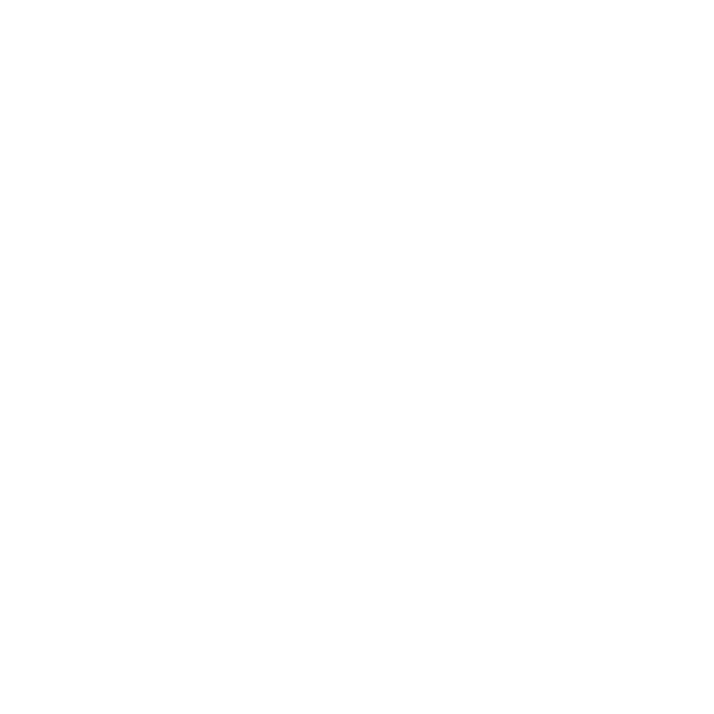 Porsche_white